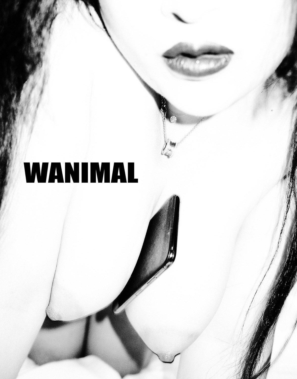 TumblrӰ  ǳģ  VOL.105 ռ @]WANIMAL ģ 9ҳ 