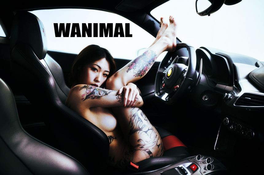 ͼ [75P] Ů () ڵ ߶ WANIMALٷ 1ҳ 